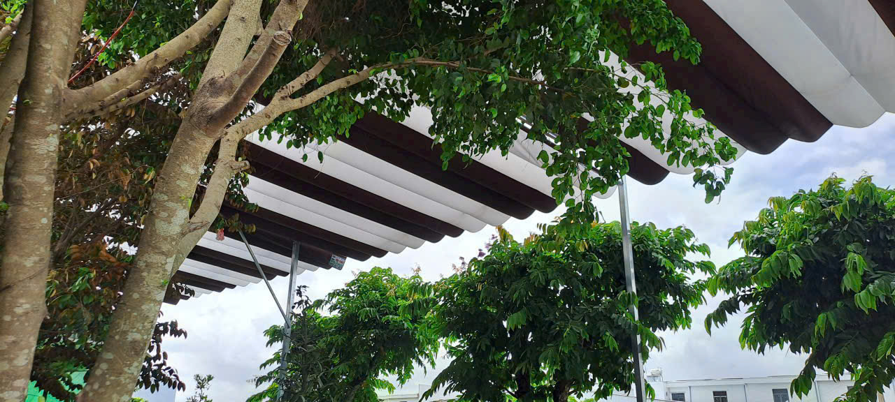 Mái xếp bình thạnh